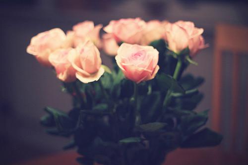 我希望每个人都喜欢