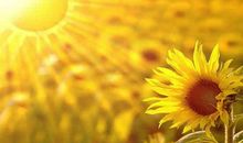 关于积极心态的座右铭