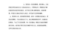 描写风景的优美段落