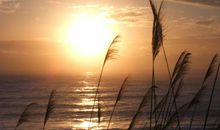 关于开心兴奋的句子