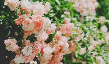 形容心痛难过的句子