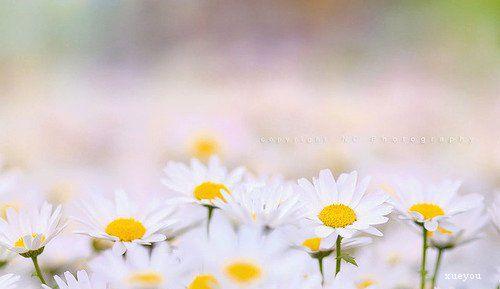 这令人非常伤心