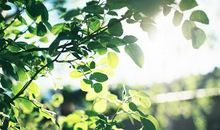 朋友互道早安哲理的开心句子