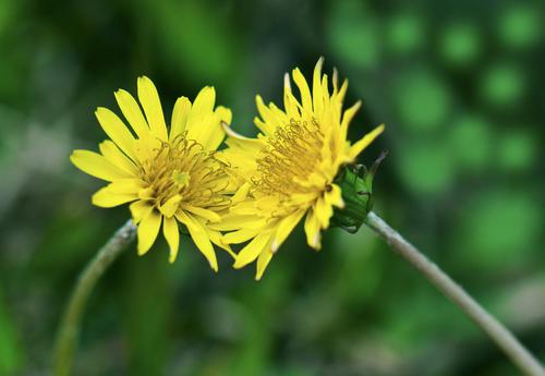 以下是编辑编纂的一些句子