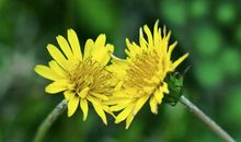 让朋友面对生活开心的句子