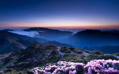 还可以让您认识自己