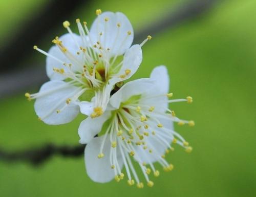 旨在使朋友面对生活变得快乐