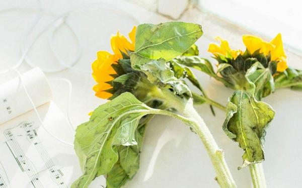 只要我们必须在尴尬中优雅地行走