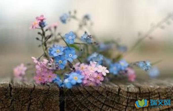 以下是小编每天的温馨句子