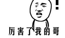 描写牛的句子