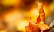 古风遗韵经典句子