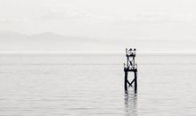 表达孤单的伤感句子 没人陪的孤单心情说说