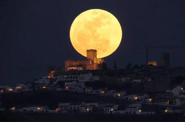 也许是因为它象征着团圆