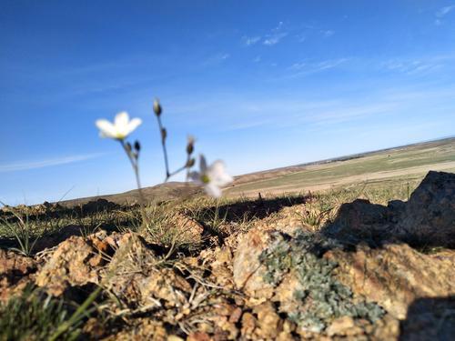 家庭血液比水厚