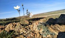 血浓于水的亲情句子