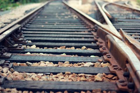 编辑编辑了一些有关家庭的诗句