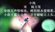 描写夏天的诗句古诗