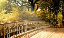 精致生活唯美的句子