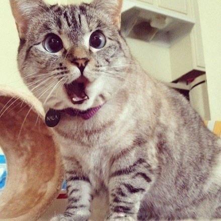 让我们看一下关于这对夫妻的幸福幽默的句子的幸福小句子