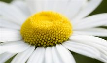 清明节扫墓的朋友圈说说 一年一度扫墓说说