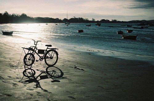 编辑编了一些关于爱家庭的句子