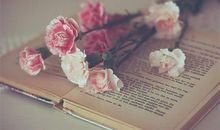 亲情让我心暖的句子