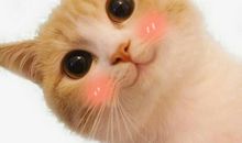 祝孩子们暑假玩的开心句子