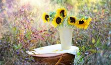 形容亲情伟大的句子