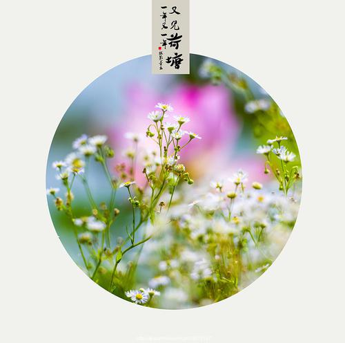 编辑整理了一些表达幸福的修辞方法的句子