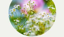 表示开心的带修辞手法的句子有哪些