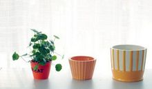 形容小朋友春游开心的句子