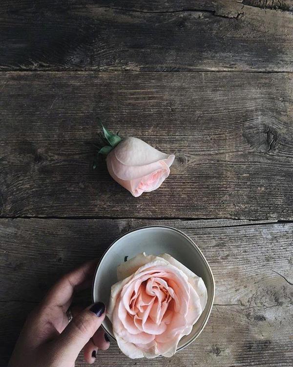 它是将毒药分为三部分的药物