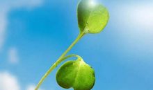 微信朋友圈深度句子