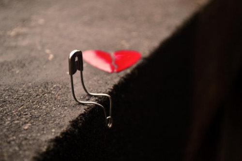 以下是大家为我的心痛而编写的一句话