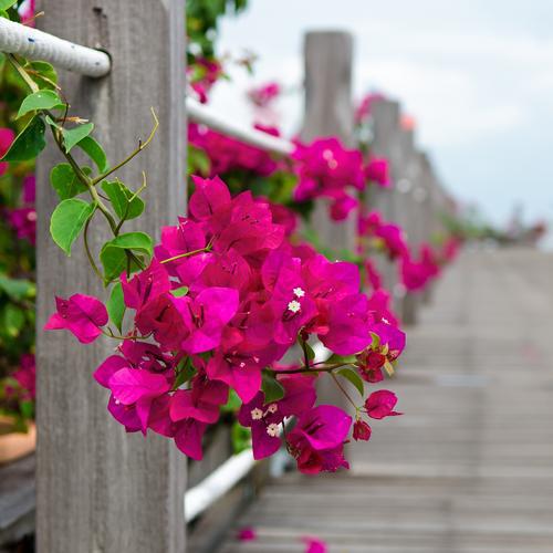 让我们来看看编辑所编辑的开心的句子