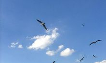 抖音上开心的句子