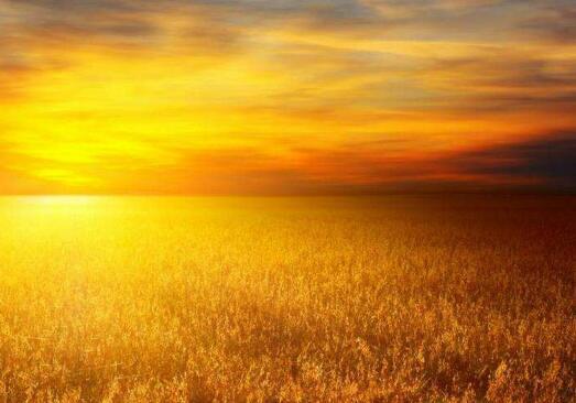   七夕 （唐）罗音 网络角落星河菡萏天空