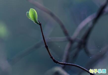 王增琪被誉为“抒情人道主义者