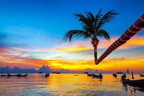 让我们看一下小编编写的关于豆阴的开心句子