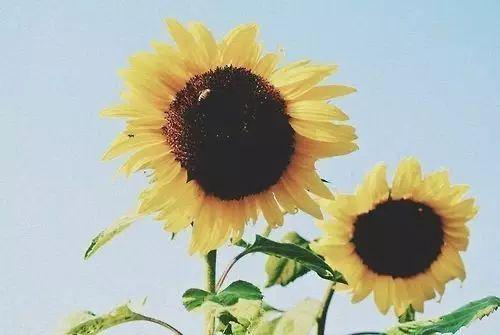 希望每个人都幸福