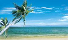 优美的写景片段