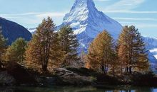 励志感悟经典句子大全2020