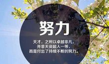 2020经典励志生活工作正能量短句子