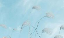 描写同学的句子
