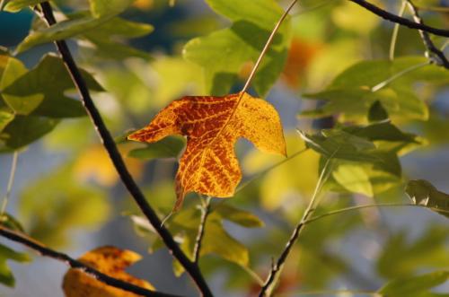 所以我不会永远幸福