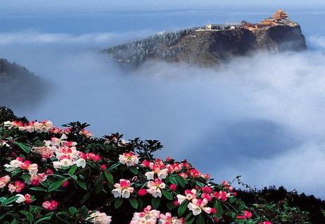   峨眉山上美丽的句子  1