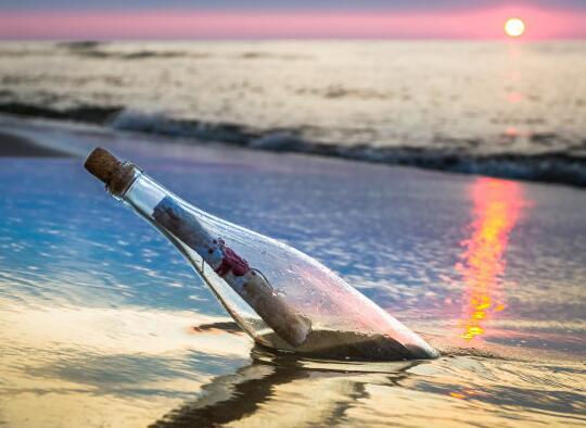 有四种类型的土地