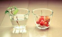 2016经典语录：离开错的人才可以早点遇到对的人