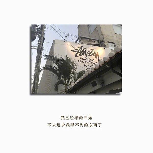 生命是一棵开花的树