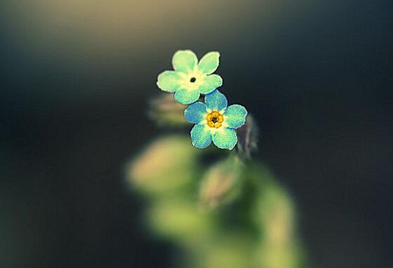 成熟是将梦想和个性放在心中